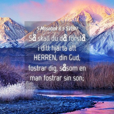 Picture 04 - 5 Mosebok 8:5 SV1917 - Så skall du då förstå i ditt hjärta att - Bible Verse Picture
