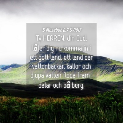 Picture 04 - 5 Mosebok 8:7 SV1917 - Ty HERREN, din Gud, låter dig nu komma in i ett - Bible Verse Picture