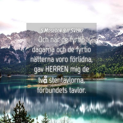 Picture 04 - 5 Mosebok 9:11 SV1917 - Och när de fyrtio dagarna och de fyrtio - Bible Verse Picture