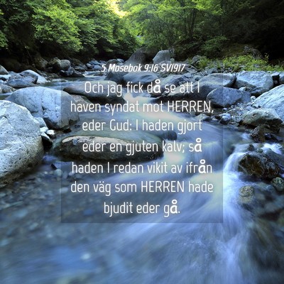 Picture 04 - 5 Mosebok 9:16 SV1917 - Och jag fick då se att I haven syndat mot - Bible Verse Picture