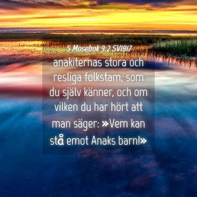 Picture 04 - 5 Mosebok 9:2 SV1917 - anakiternas stora och resliga folkstam, som du - Bible Verse Picture