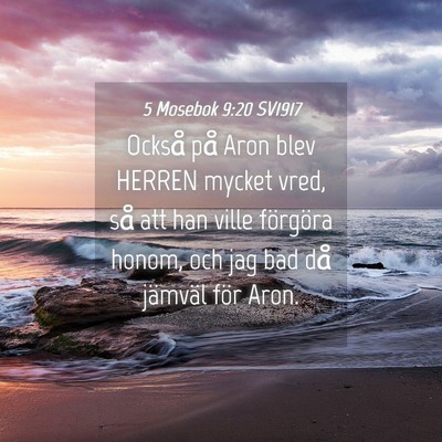 Picture 04 - 5 Mosebok 9:20 SV1917 - Också på Aron blev HERREN mycket vred, så att - Bible Verse Picture
