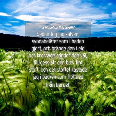 Picture 04 - 5 Mosebok 9:21 SV1917 - Sedan tog jag kalven, syndabelätet som I haden - Bible Verse Picture