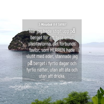 Picture 04 - 5 Mosebok 9:9 SV1917 - När jag hade stigit upp på berget för att taga - Bible Verse Picture