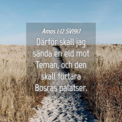 Picture 04 - Amos 1:12 SV1917 - Därför skall jag sända en eld mot Teman, och - Bible Verse Picture