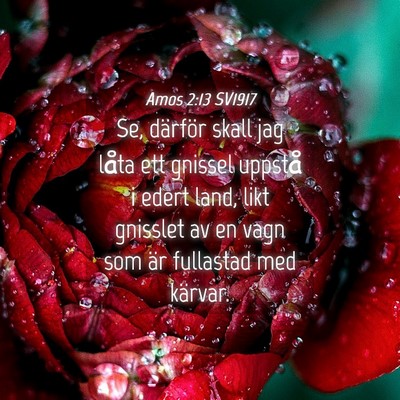 Picture 04 - Amos 2:13 SV1917 - Se, därför skall jag låta ett gnissel uppstå - Bible Verse Picture