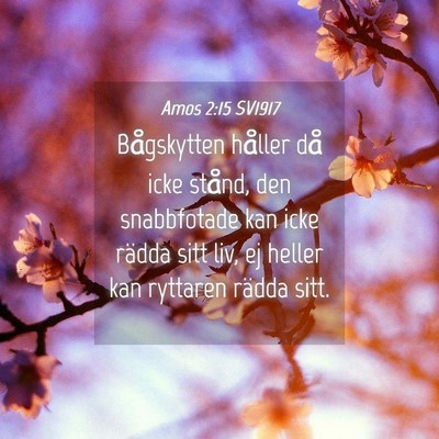 Picture 04 - Amos 2:15 SV1917 - Bågskytten håller då icke stånd, den - Bible Verse Picture