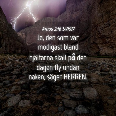 Picture 04 - Amos 2:16 SV1917 - Ja, den som var modigast bland hjältarna skall - Bible Verse Picture