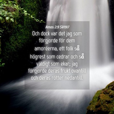 Picture 04 - Amos 2:9 SV1917 - Och dock var det jag som förgjorde för dem - Bible Verse Picture