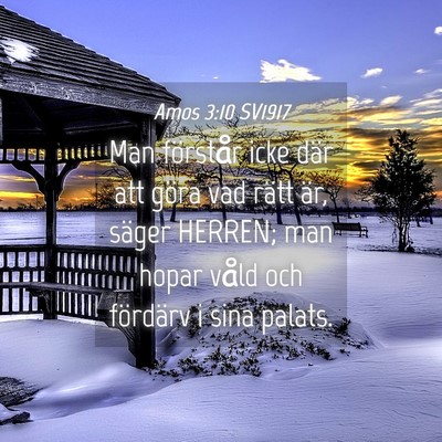 Picture 04 - Amos 3:10 SV1917 - Man förstår icke där att göra vad rätt är, - Bible Verse Picture