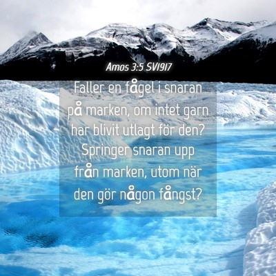 Picture 04 - Amos 3:5 SV1917 - Faller en fågel i snaran på marken, om intet - Bible Verse Picture
