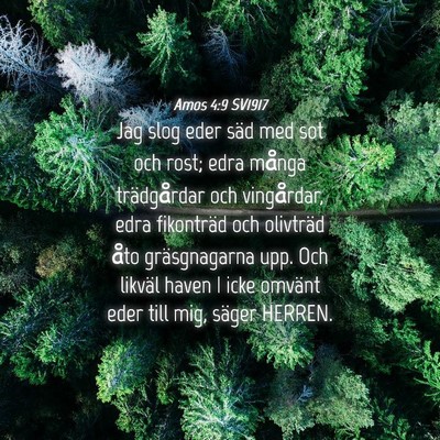 Picture 04 - Amos 4:9 SV1917 - Jag slog eder säd med sot och rost; edra många - Bible Verse Picture