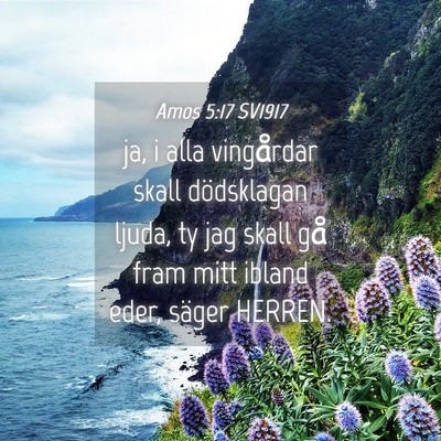 Picture 04 - Amos 5:17 SV1917 - ja, i alla vingårdar skall dödsklagan ljuda, ty - Bible Verse Picture