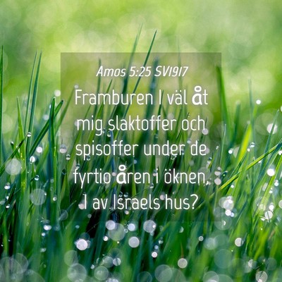Picture 04 - Amos 5:25 SV1917 - Framburen I väl åt mig slaktoffer och spisoffer - Bible Verse Picture