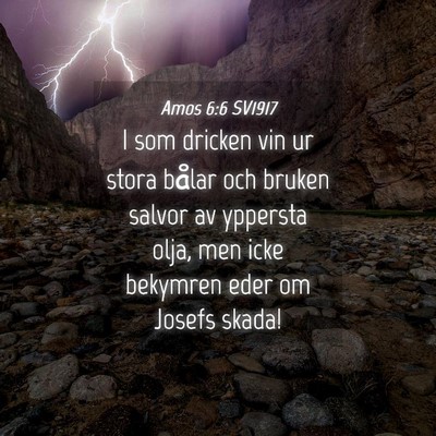 Picture 04 - Amos 6:6 SV1917 - I som dricken vin ur stora bålar och bruken - Bible Verse Picture