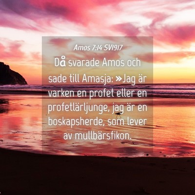 Picture 04 - Amos 7:14 SV1917 - Då svarade Amos och sade till Amasja: »Jag är - Bible Verse Picture