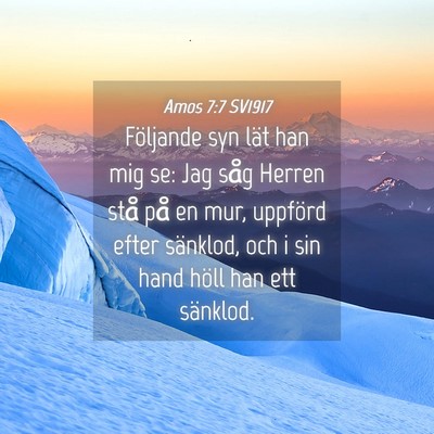 Picture 04 - Amos 7:7 SV1917 - Följande syn lät han mig se: Jag såg Herren - Bible Verse Picture