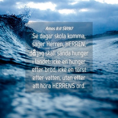 Picture 04 - Amos 8:11 SV1917 - Se dagar skola komma, säger Herren, HERREN, då - Bible Verse Picture