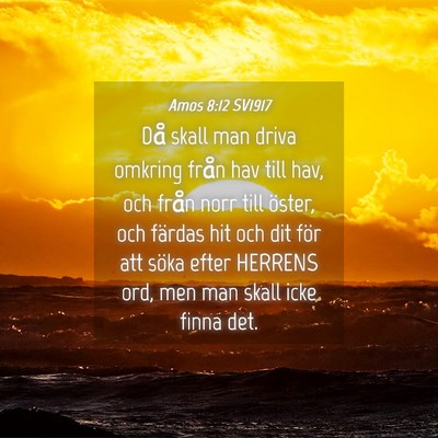 Picture 04 - Amos 8:12 SV1917 - Då skall man driva omkring från hav till hav, - Bible Verse Picture
