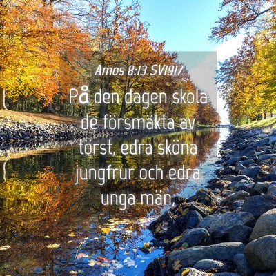 Picture 04 - Amos 8:13 SV1917 - På den dagen skola de försmäkta av törst, - Bible Verse Picture
