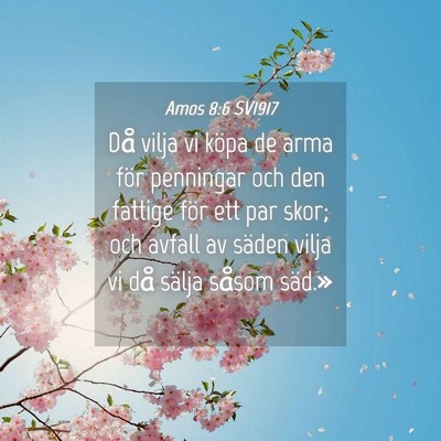 Picture 04 - Amos 8:6 SV1917 - Då vilja vi köpa de arma för penningar och den - Bible Verse Picture