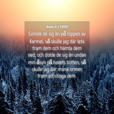 Picture 04 - Amos 9:3 SV1917 - Gömde de sig än på toppen av Karmel, så - Bible Verse Picture