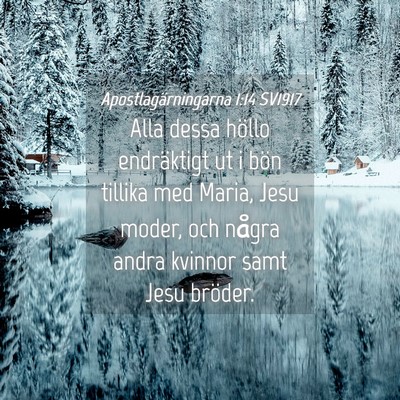 Picture 04 - Apostlagärningarna 1:14 SV1917 - Alla dessa höllo endräktigt ut i bön tillika - Bible Verse Picture