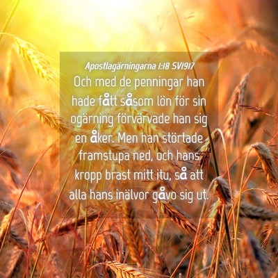 Picture 04 - Apostlagärningarna 1:18 SV1917 - Och med de penningar han hade fått såsom lön - Bible Verse Picture