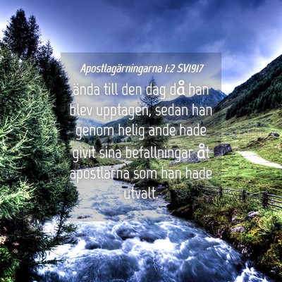 Picture 04 - Apostlagärningarna 1:2 SV1917 - ända till den dag då han blev upptagen, sedan - Bible Verse Picture