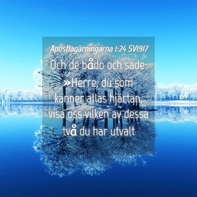Picture 04 - Apostlagärningarna 1:24 SV1917 - Och de bådo och sade: »Herre, du som känner - Bible Verse Picture