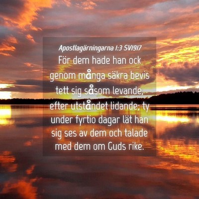 Picture 04 - Apostlagärningarna 1:3 SV1917 - För dem hade han ock genom många säkra bevis - Bible Verse Picture