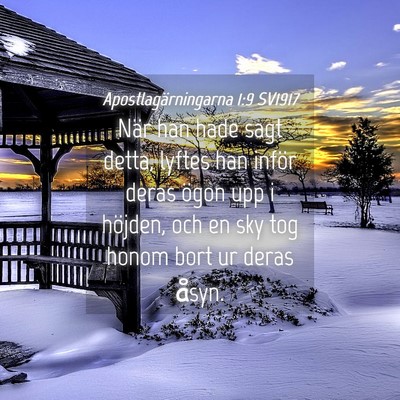 Picture 04 - Apostlagärningarna 1:9 SV1917 - När han hade sagt detta, lyftes han inför deras - Bible Verse Picture