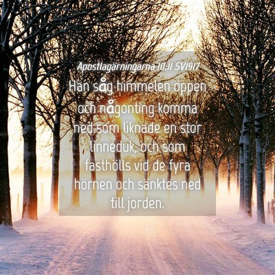 Picture 04 - Apostlagärningarna 10:11 SV1917 - Han såg himmelen öppen och någonting komma ned - Bible Verse Picture