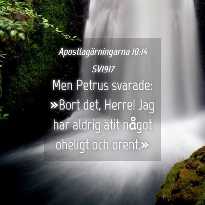 Picture 04 - Apostlagärningarna 10:14 SV1917 - Men Petrus svarade: »Bort det, Herre! Jag har - Bible Verse Picture
