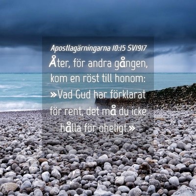 Picture 04 - Apostlagärningarna 10:15 SV1917 - Åter, för andra gången, kom en röst till - Bible Verse Picture