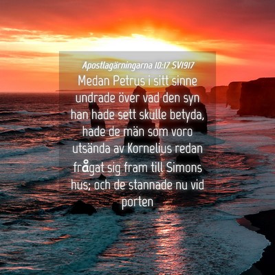 Picture 04 - Apostlagärningarna 10:17 SV1917 - Medan Petrus i sitt sinne undrade över vad den - Bible Verse Picture