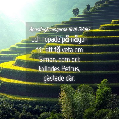 Picture 04 - Apostlagärningarna 10:18 SV1917 - och ropade på någon för att få veta om Simon, - Bible Verse Picture