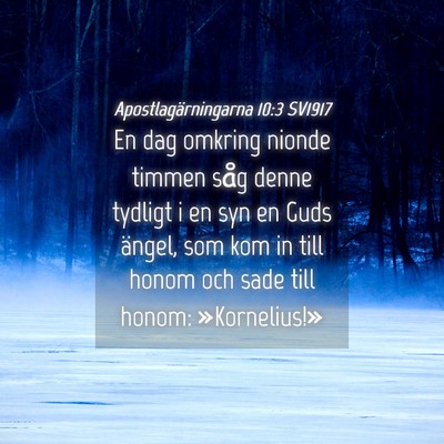 Picture 04 - Apostlagärningarna 10:3 SV1917 - En dag omkring nionde timmen såg denne tydligt i - Bible Verse Picture