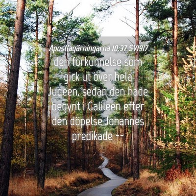 Picture 04 - Apostlagärningarna 10:37 SV1917 - den förkunnelse som gick ut över hela Judeen, - Bible Verse Picture