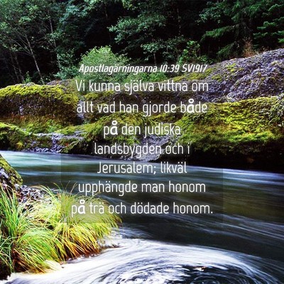 Picture 04 - Apostlagärningarna 10:39 SV1917 - Vi kunna själva vittna om allt vad han gjorde - Bible Verse Picture
