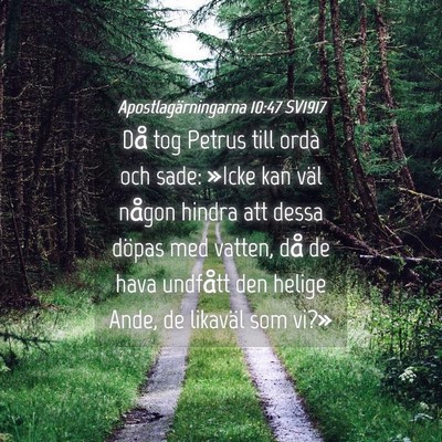 Picture 04 - Apostlagärningarna 10:47 SV1917 - Då tog Petrus till orda och sade: »Icke kan - Bible Verse Picture
