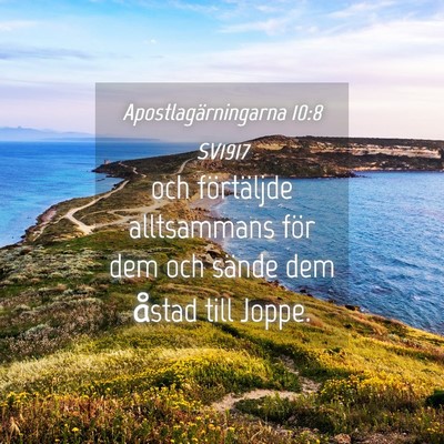 Picture 04 - Apostlagärningarna 10:8 SV1917 - och förtäljde alltsammans för dem och sände - Bible Verse Picture
