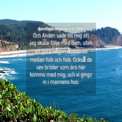 Picture 04 - Apostlagärningarna 11:12 SV1917 - Och Anden sade till mig att jag skulle följa med - Bible Verse Picture