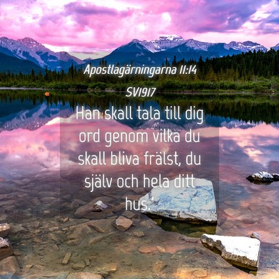 Picture 04 - Apostlagärningarna 11:14 SV1917 - Han skall tala till dig ord genom vilka du skall - Bible Verse Picture