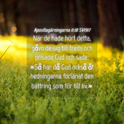 Picture 04 - Apostlagärningarna 11:18 SV1917 - När de hade hört detta, gåvo de sig till freds - Bible Verse Picture