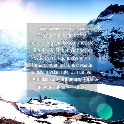Picture 04 - Apostlagärningarna 11:26 SV1917 - Och när han hade träffat honom, tog han honom - Bible Verse Picture