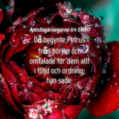 Picture 04 - Apostlagärningarna 11:4 SV1917 - Då begynte Petrus från början och omtalade - Bible Verse Picture
