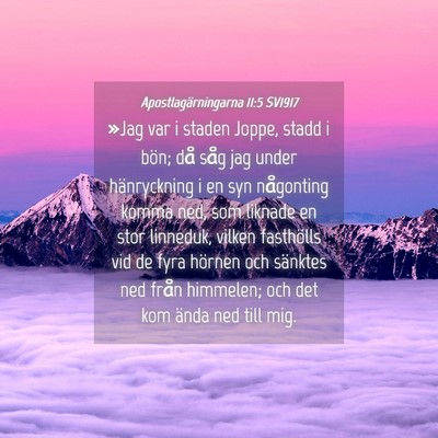 Picture 04 - Apostlagärningarna 11:5 SV1917 - »Jag var i staden Joppe, stadd i bön; då såg - Bible Verse Picture