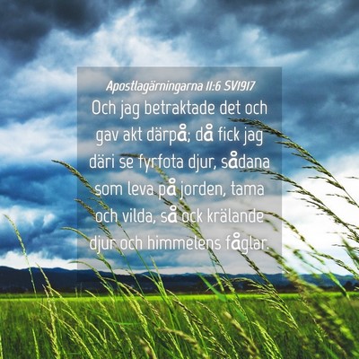 Picture 04 - Apostlagärningarna 11:6 SV1917 - Och jag betraktade det och gav akt därpå; då - Bible Verse Picture