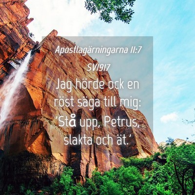 Picture 04 - Apostlagärningarna 11:7 SV1917 - Jag hörde ock en röst säga till mig: 'Stå - Bible Verse Picture